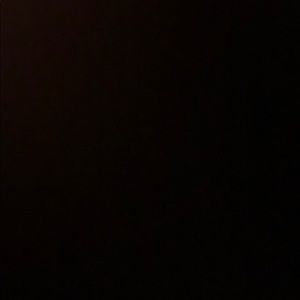 Meet your Posher, Elvis